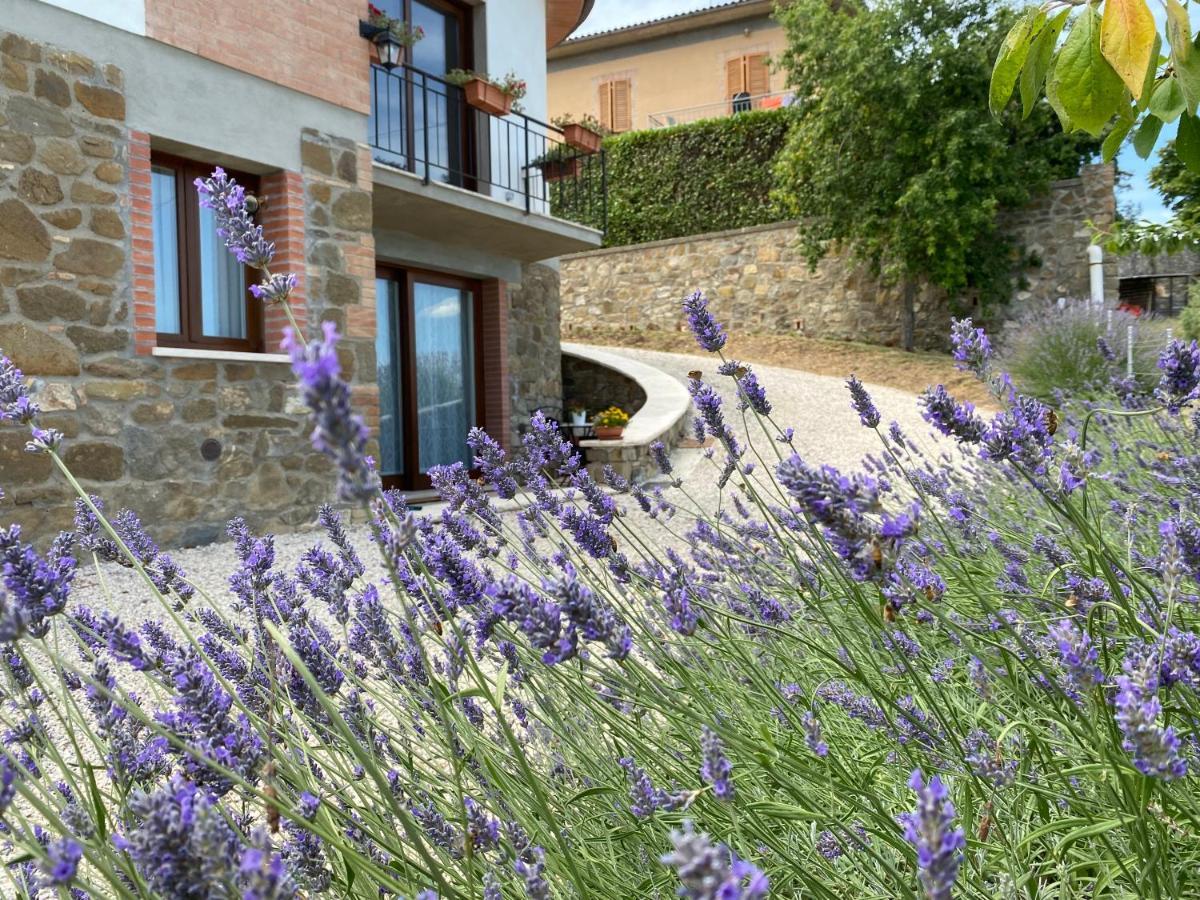 Podere Belsogno Монталчино Екстериор снимка